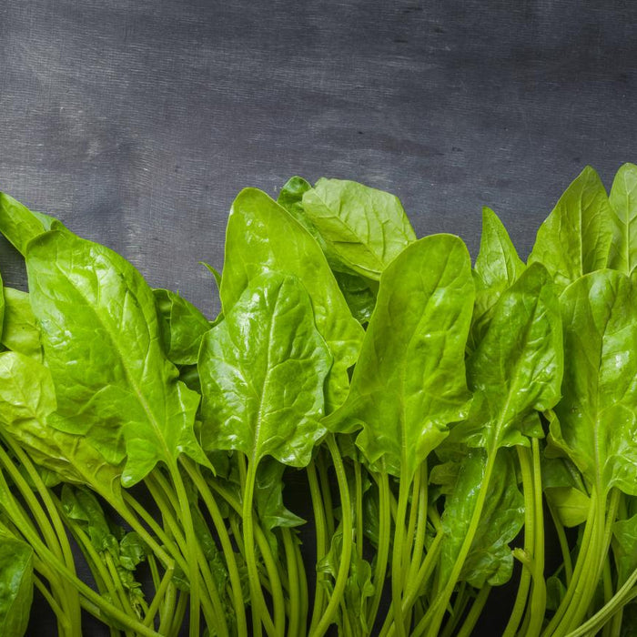 Unlocking the Power of Ecdysterone: The Natural Steroid in Spinach