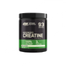 Optimum Nutrition Micronized Creatine 317g, 93 Servings - Creatine Powder at MySupplementShop by Optimum Nutrition