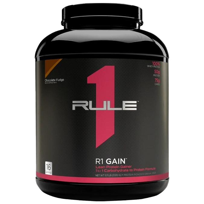 Rule One R1 Gain, Chocolate Fudge – 2320 Gramm