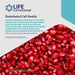 Life Extension Endothelial Defense Pomegranate Plus 60 Softgels - Nutritional Supplement at MySupplementShop by Life Extension