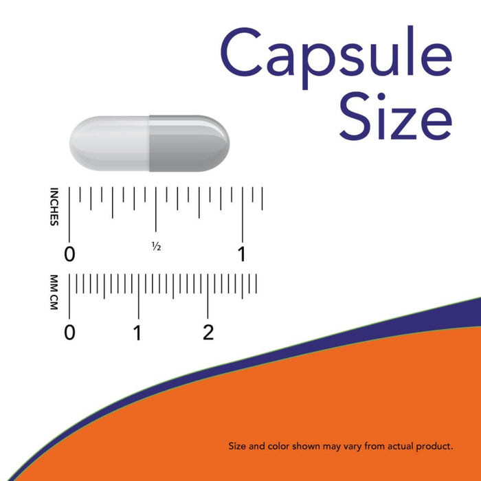 NOW Foods Acetyl-L Carnitine 500 mg 100 Veg Capsules - Amino Acids and BCAAs at MySupplementShop by NOW Foods