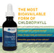 Trace Minerals Ionic Chlorophyll, 100mg - 59 ml. - Sports Supplements at MySupplementShop by Trace Minerals