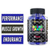 Alpha Lion Gains Candy RipFactor 60Caps - Sports Nutrition at MySupplementShop by Alpha Lion